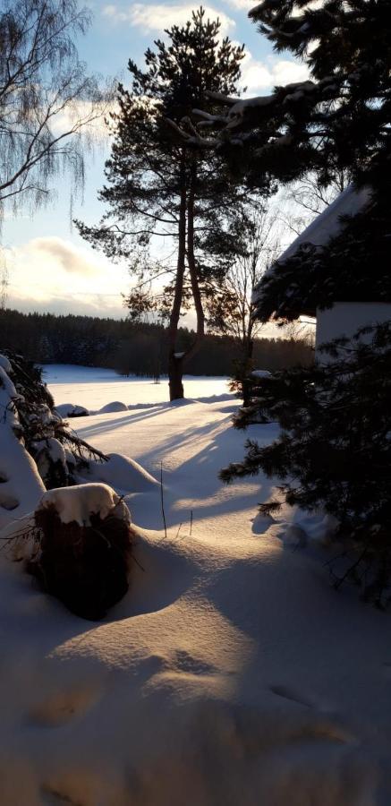 Apartmán 12 Lipno nad Vltavou Exterior foto